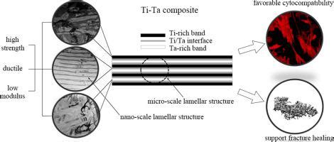  Orthopedic Composites: 探索高強度輕量化生物材料的奧秘！