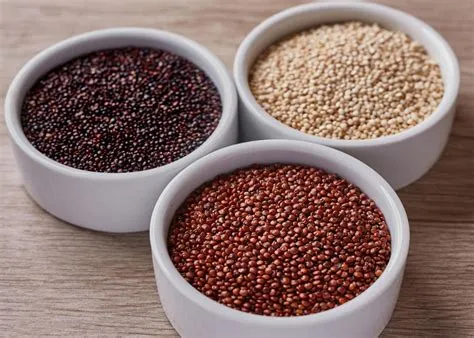  Qualifications of Quinoa Fiber: Can This Superfood Revolutionize Sustainable Textiles?